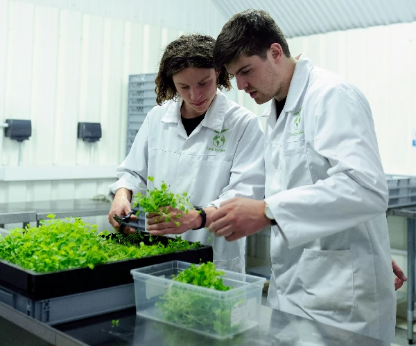 Clinical Collaborations